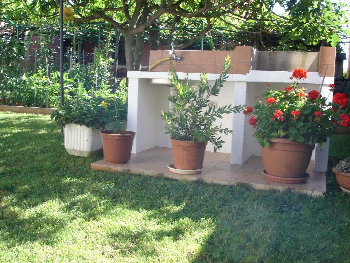 Apartman Klimic Umag Exterior foto